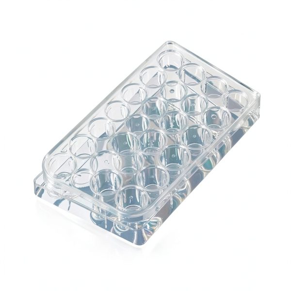 Culture Plate 24 Well Highly Transparent Tissue Plate with Lid – 10pcs-6