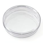 BD 353025 Falcon Clear Polystyrene Cell Culture Dish 20mm Grid 150mm-0