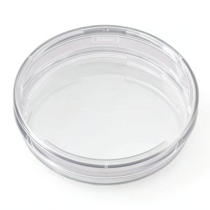 BD 353025 Falcon Clear Polystyrene Cell Culture Dish 20mm Grid 150mm-0