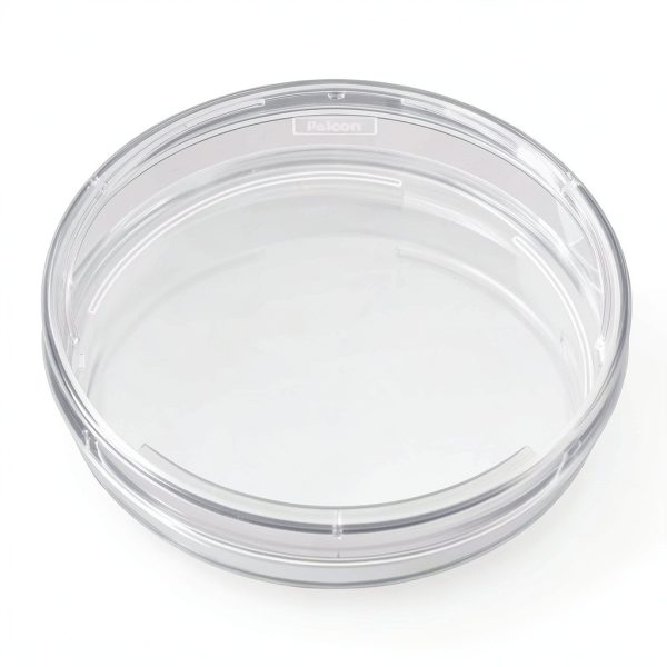 BD 353025 Falcon Clear Polystyrene Cell Culture Dish 20mm Grid 150mm-0