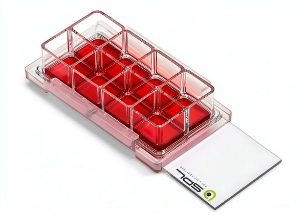 SPL Cell Culture Chamber Slide, Clear, 8 Wells, PS Frame, D-lux Slide, PP Holder, 0.2~0.6 ml, TC Treated Sterile, Case of 12 // 2 Pack of 6-1