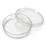CELLTREAT 229621 Treated Dish 100mm×20mm Sterile 15mL 300pcs-0