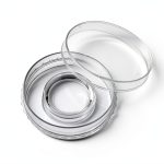 SPL IVF Culture Dish 60x20mm PS TC Treated Sterile SAL10-6-0
