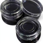 10 pack BS-15-GJM glass confocal culture dish 15mm--0