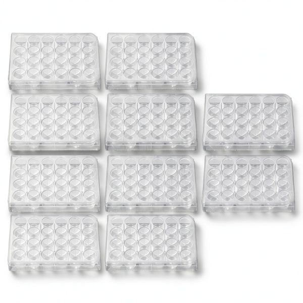 Culture Plate 24 Well Highly Transparent Tissue Plate with Lid – 10pcs-0