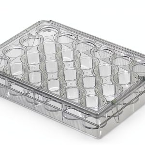 Nest Scientific 702001 Polystyrene 24 Well Cell Culture Plate, Flat Bottom, Tissue Culture Treated, Sterile, Clear, 1 per Pack, 50 per Case (Pack of 50)-0
