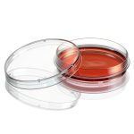 Diamond SureGro Cell Culture Dish Globe Scientific 100 mm Sterile Ring-0