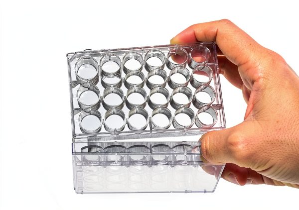 Nest Scientific 702001 Polystyrene 24 Well Cell Culture Plate, Flat Bottom, Tissue Culture Treated, Sterile, Clear, 1 per Pack, 50 per Case (Pack of 50)-2