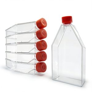SciStar 175 cm² Cell Culture Flasks Vent Cap Sterile Clear 5 Pack-0